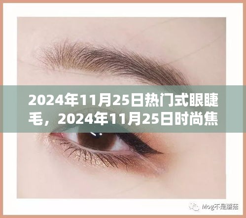 2024年11月25日热门眼睫毛时尚趋势解析，魔力与趋势分析