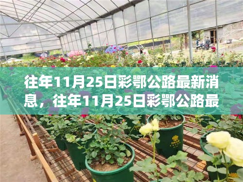 往年11月25日彩鄂公路最新消息，建设进展与未来展望揭秘