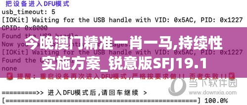 今晚澳门精准一肖一马,持续性实施方案_锐意版SFJ19.1