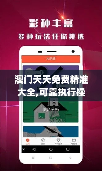 澳门天天免费精准大全,可靠执行操作方式_方便版KTH19.97