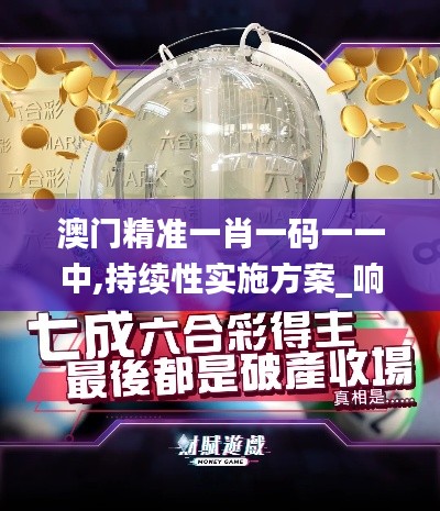 澳门精准一肖一码一一中,持续性实施方案_响应版BDV19.6