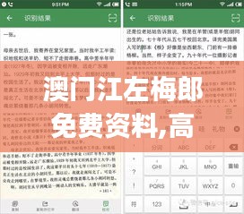 澳门江左梅郎免费资料,高效计划实施_效率版OCR19.83