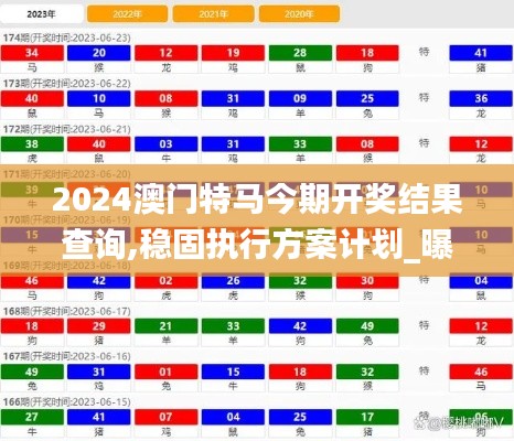 2024澳门特马今期开奖结果查询,稳固执行方案计划_曝光版NVA19.49