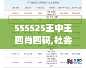 555525王中王四肖四码,社会承担实践战略_复兴版FTT10.38