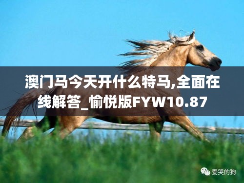 澳门马今天开什么特马,全面在线解答_愉悦版FYW10.87