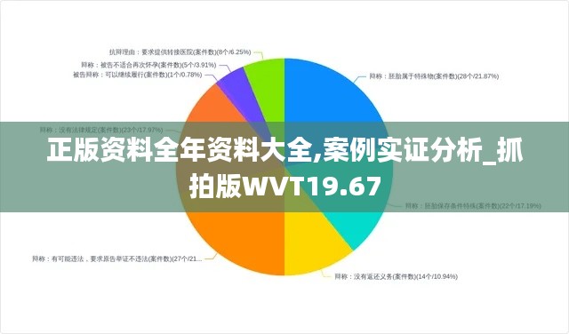 正版资料全年资料大全,案例实证分析_抓拍版WVT19.67