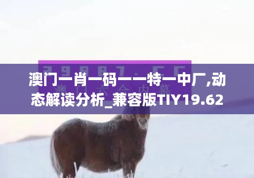 澳门一肖一码一一特一中厂,动态解读分析_兼容版TIY19.62