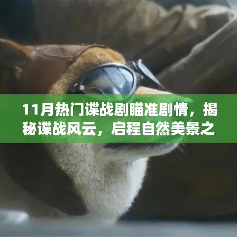 揭秘谍战风云，瞄准剧情，启程自然美景之旅，寻找内心的宁静与平和