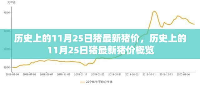 历史上的11月25日猪价概览，最新猪价信息一览表