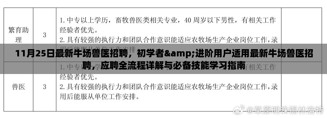 最新牛场兽医招聘指南，从初学者到进阶用户的应聘流程与必备技能学习全解析