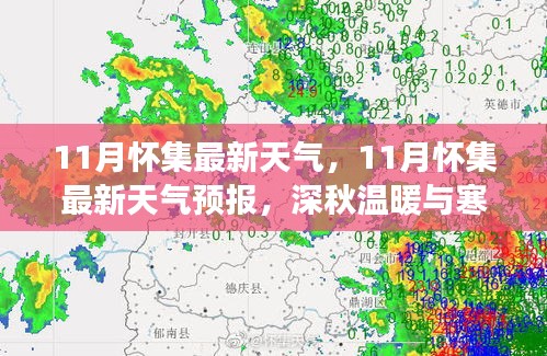 饭来张口 第4页