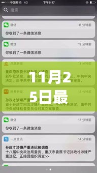 揭秘，全网热议的11月25日打小三事件内幕及影响全解析