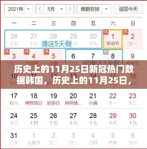 历史上的11月25日，韩国新冠疫情数据的追踪与分析之道