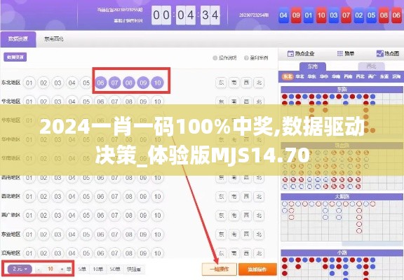 2024一肖一码100%中奖,数据驱动决策_体验版MJS14.70