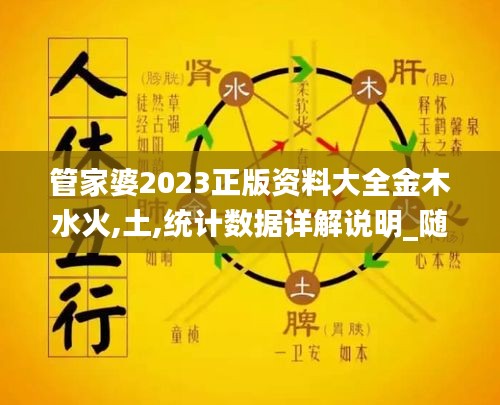 管家婆2023正版资料大全金木水火,土,统计数据详解说明_随机版CYA14.94