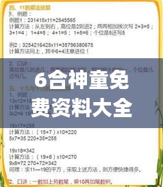 6合神童免费资料大全,全身心解答具体_光辉版EJM14.64