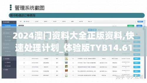 2024澳门资料大全正版资料,快速处理计划_体验版TYB14.61