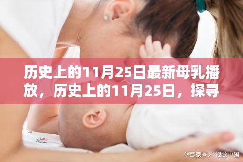探寻母乳播放的温暖记忆，历史上的11月25日回顾