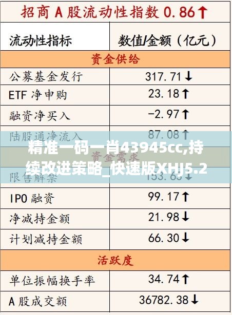 精准一码一肖43945cc,持续改进策略_快速版XHJ5.29