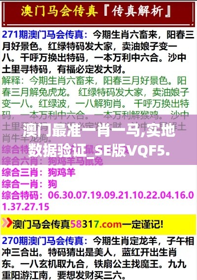 澳门最准一肖一马,实地数据验证_SE版VQF5.44