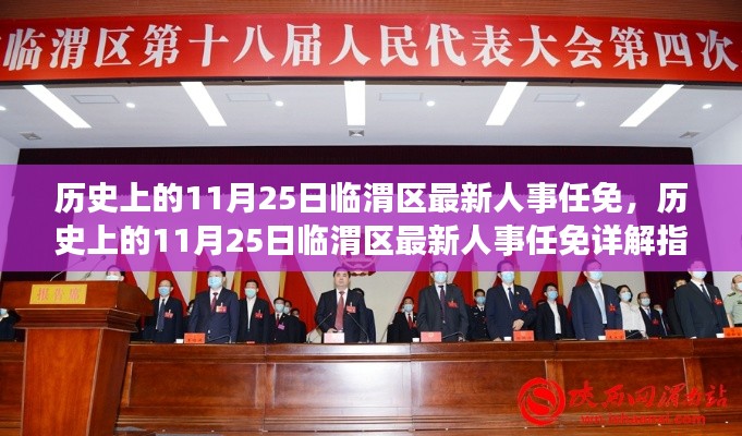 历史上的11月25日临渭区人事任免详解，从初识到进阶指南