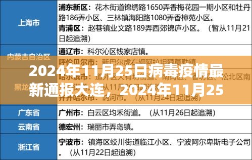 2024年11月25日大连地区病毒疫情最新通报，现状分析、应对策略及进展报告