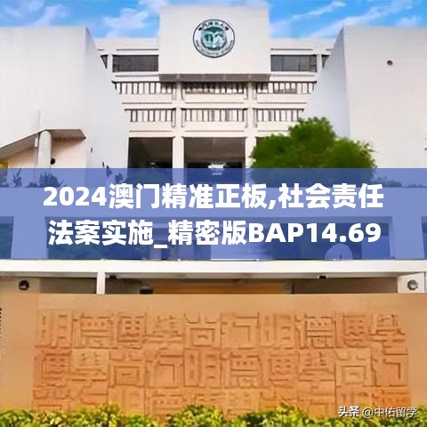 2024澳门精准正板,社会责任法案实施_精密版BAP14.69