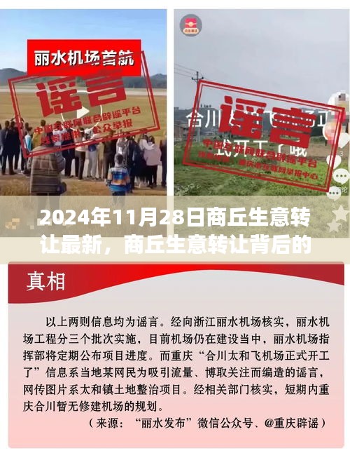 眉清目秀 第4页