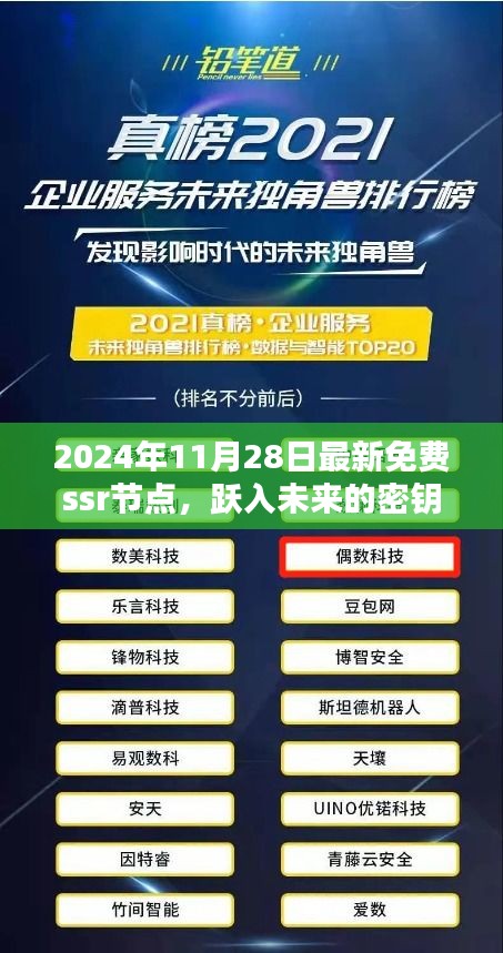 跃入未来的密钥，2024年最新免费SSR节点与学习的无限可能