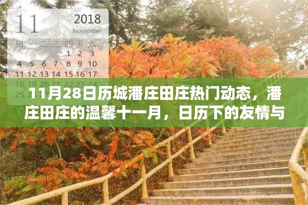 11月历下的友情与爱，潘庄田庄温馨动态回顾