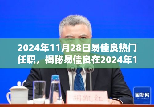 揭秘易佳良在小红书视角下的热门任职之路，2024年11月28日的职场焦点