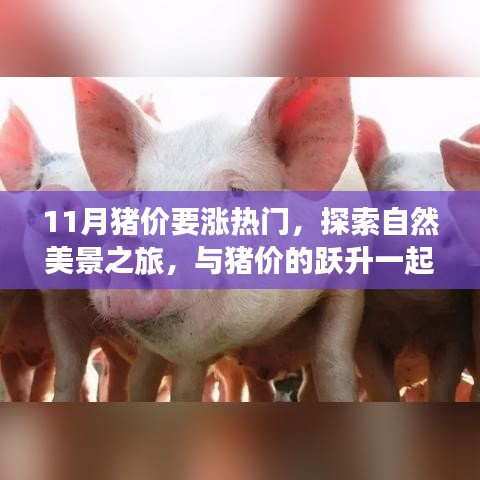 宁静致远 第4页