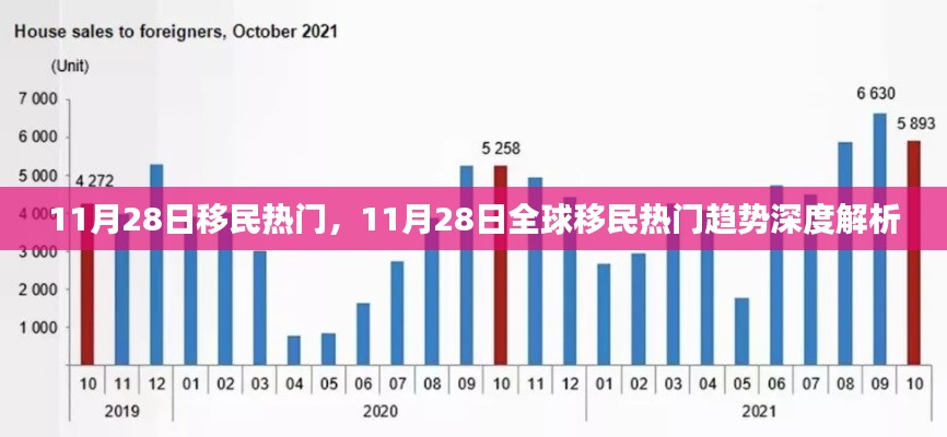 11月28日全球移民热门趋势深度解析与探讨