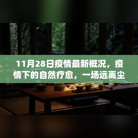 疫情下的自然疗愈之旅，静待美好时光的到来
