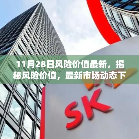 11月28日风险价值最新，揭秘风险价值，最新市场动态下的风险评估与应对策略（以11月28日为界）