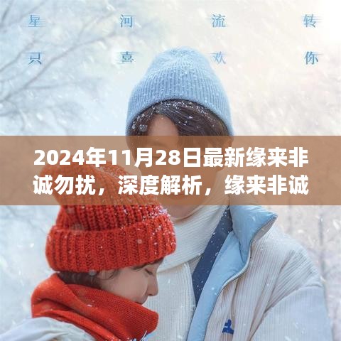 缘来非诚勿扰深度解析，情感观察新视角下的2024年11月28日观察报告