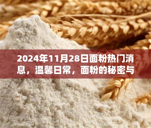 坌鸟先飞 第3页