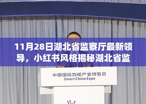 湖北省监察厅新任领导阵容揭秘，最新动态与小红书风格一览（11月28日更新）