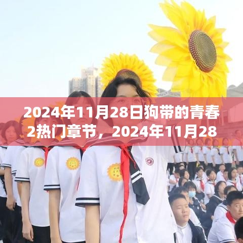 狗带青春热血篇章，2024年11月28日热门章节回顾