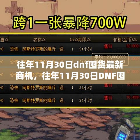 往年11月30日DNF囤货商机深度分析与观点阐述，最新商机探讨与策略建议