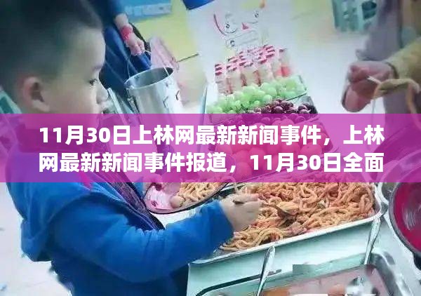 上林网新闻追踪，11月30日最新事件报道与深度解读