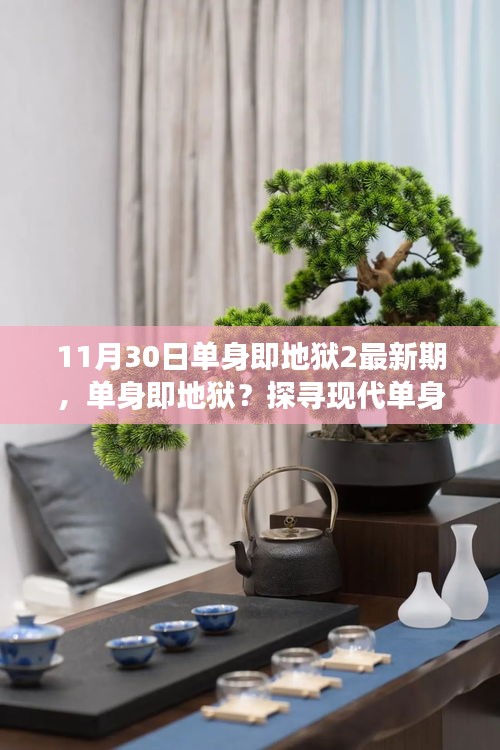 单身即地狱2最新期深度解读，探寻现代单身文化多元视角