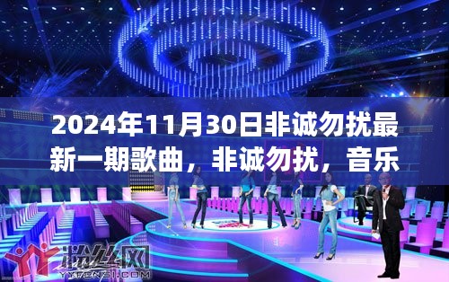 非诚勿扰最新一期歌曲，音乐友情之旅与爱的温馨传递