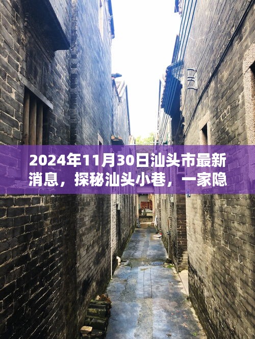 探秘汕头小巷特色小店，最新消息与独特风味体验（XXXX年报道）