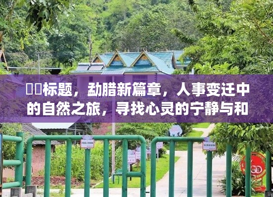 鸟集鳞萃 第3页