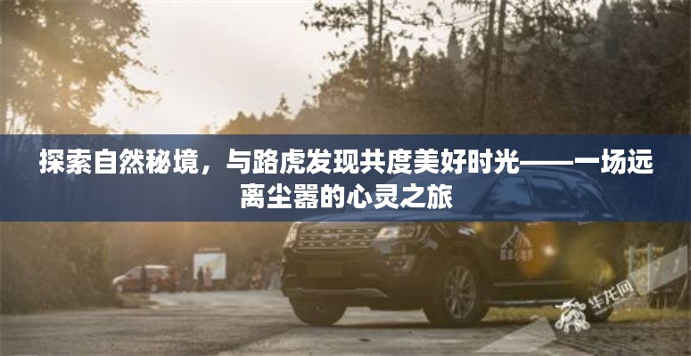 尘土飞扬 第4页