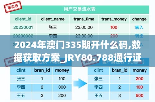 2024年澳门335期开什么码,数据获取方案_JRY80.788通行证版