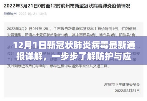 不翼而飞 第3页
