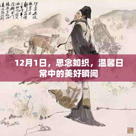 食而不化 第4页