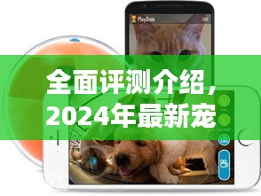 2024年最新宠物玩具全面评测，乐趣与互动性的完美融合